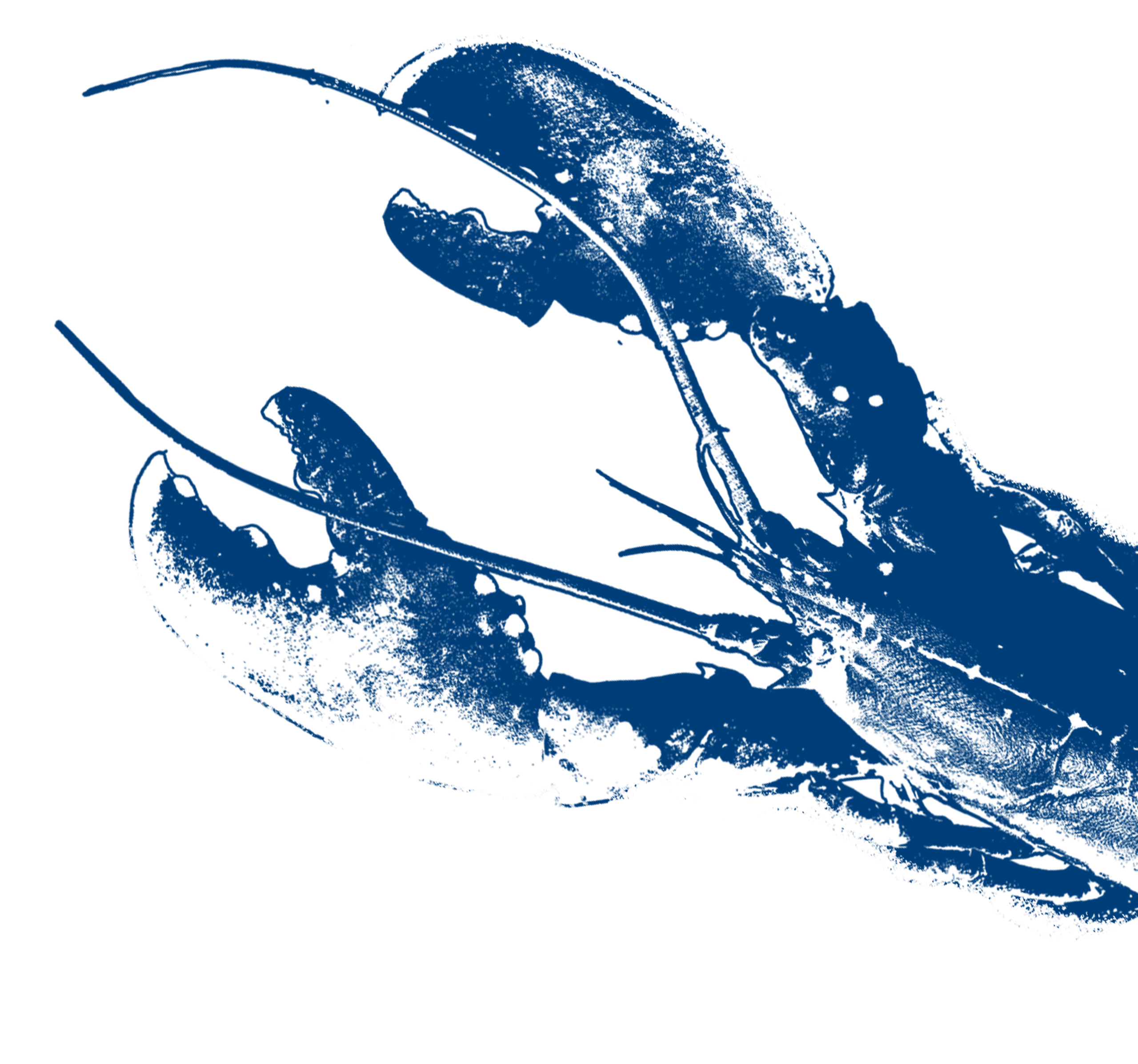 Bogavante scaled